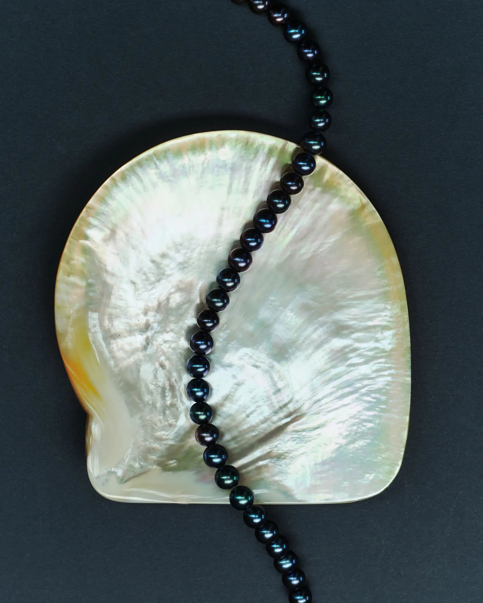 18K gold black pearl necklace on a large shell against a dark background