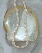 A strand of irregular 18K gold baroque-style peach pearls draped over a large iridescent shell on a light tissue paper background.